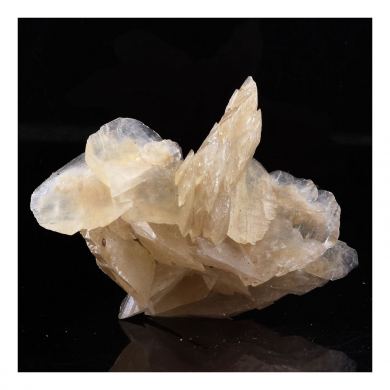 Gypsum.