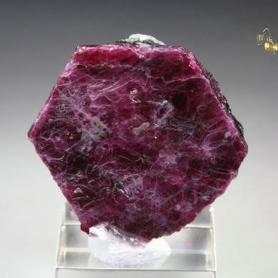 CORUNDUM var. RUBY, MUSCOVITE