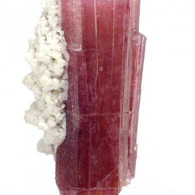 Tourmaline elbaite, albite MOROCCO!