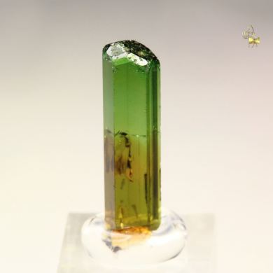 gem TOURMALINE var. DRAVITE