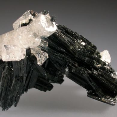 beryl var. Goshenite with Muscovite on Schorl