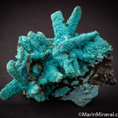 Chrysocolla ps. after Selenite(?)