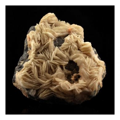 Galena + Baryte.