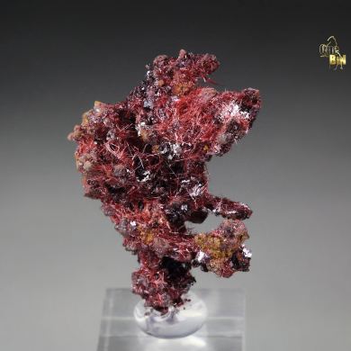 CUPRITE var. CHALCOTRICHITE, CUPRITE