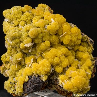 Mimetite