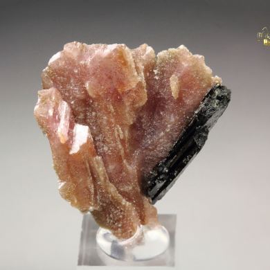 RHODOCHROSITE, AEGIRINE