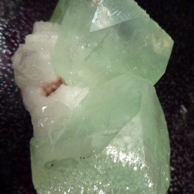 Apophyllite