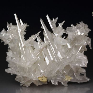 reticulated CERUSSITE