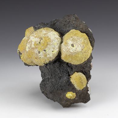 Mimetite var. Campylite