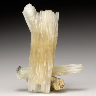 Fluorapatite with Siderite