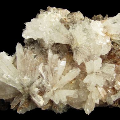 Creedite