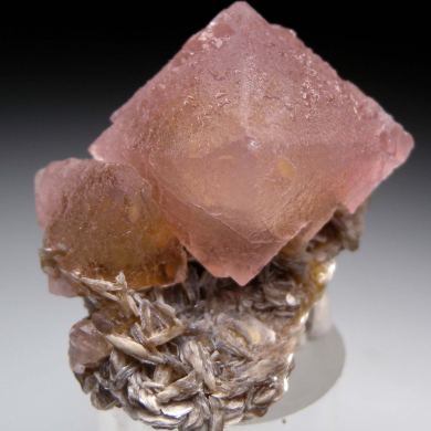 Fluorite on Muscovite