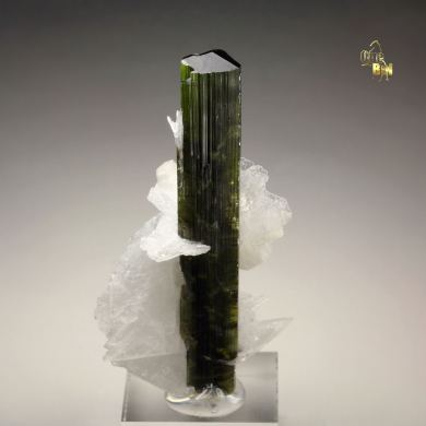 gem TOURMALINE var. ELBAITE, ALBITE