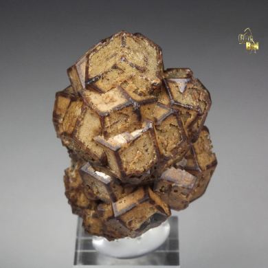 GARNET var. ANDRADITE