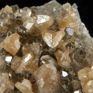 Monazite-(Ce) with Quartz