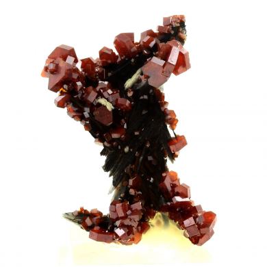 Vanadinite + Baryte.