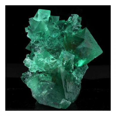 Fluorite. 541.0 ct.