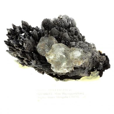 Lollingite + Fluorite.