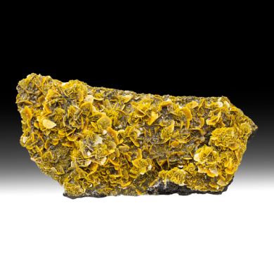 Wulfenite