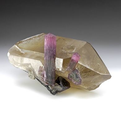 Tourmaline with Quartz