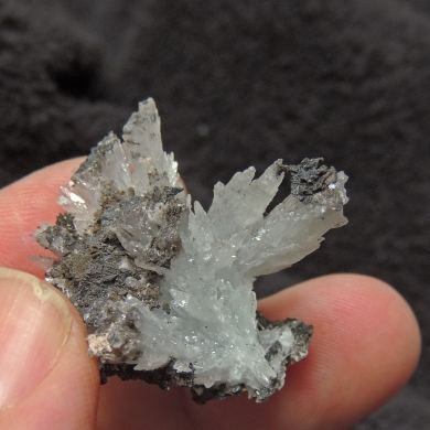 Celestite