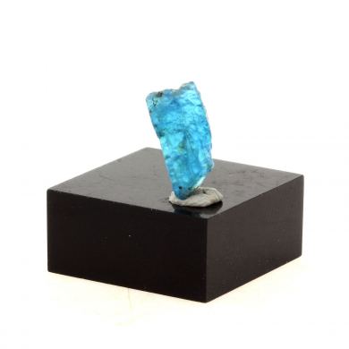 Neon blue Apatite. 1.56 ct.