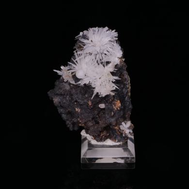 ARAGONITE and CALCITE - Gergovie, France