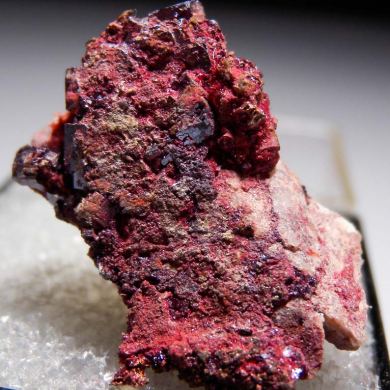 Cuprite var. Chalcotrichite