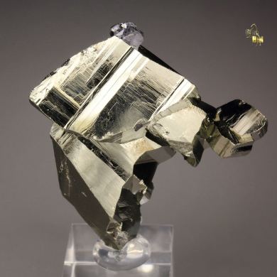 PYRITE floater, GALENA