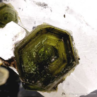 Fluorapatite on Quartz