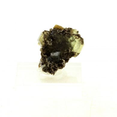 Apatite + Muscovite. 19.45 ct.