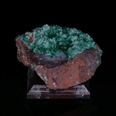 BROCHANTITE - Kabolela Mine, Kolwezi, Lualaba, DR Congo