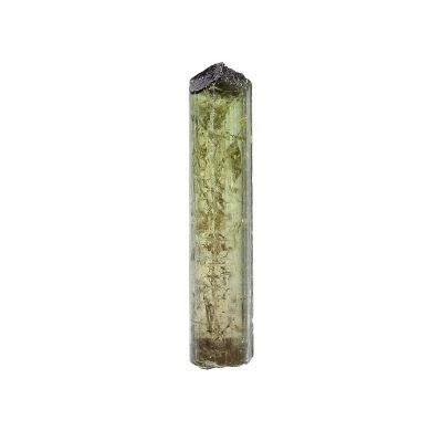 Tourmaline / (Fluor-Liddicoatite)