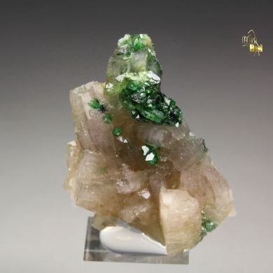 gem GARNET var. GROSSULAR var. CHROMIAN, PREHNITE