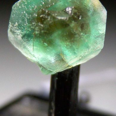 Fluorite on Schorl