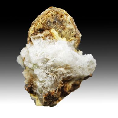 Carlosbarbosaite with Albite