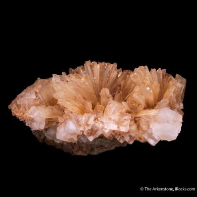 Leonite on Halite