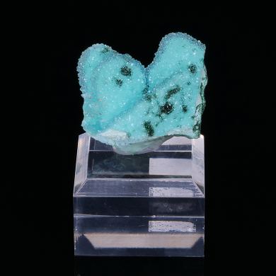 CHRYSOCOLLA psm after MALACHITE psm after AZURITE with QUARTZ - Tenke-Fungurume, Lualaba, DR Congo