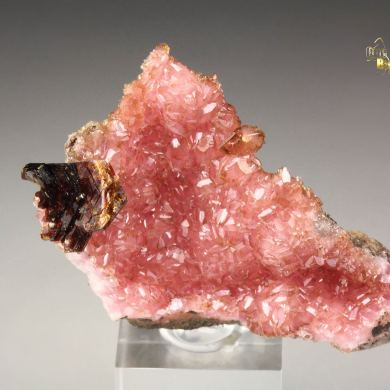 SHIGAITE, RHODOCHROSITE