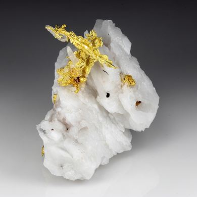 Gold with Quartz