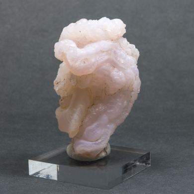 Quartz var. Chalcedony