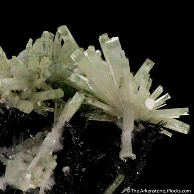 Beryl var. Aquamarine on Schorl