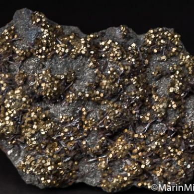 Hutchinsonite with Pyrite