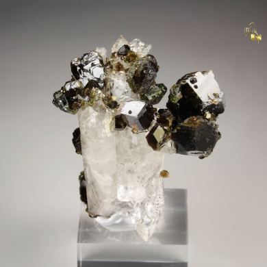 UVITE, QUARTZ bi-terminated