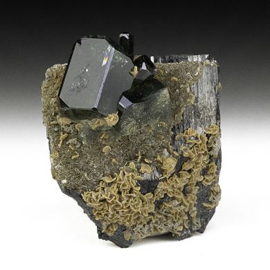 Fluorapatite with Ferberite, Siderite, Muscovite