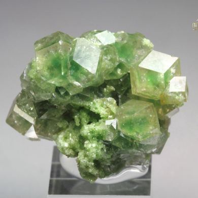 gem GARNET var. GROSSULAR with GREEN CHROMIAN PHANTOMS