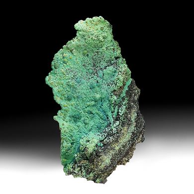 Chrysocolla, Malachite