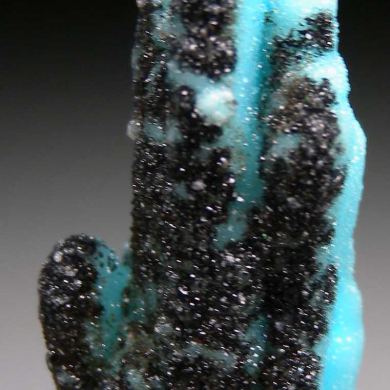 Chrysocolla pseudomorph