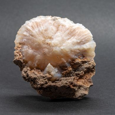 Quartz var. Chalcedony