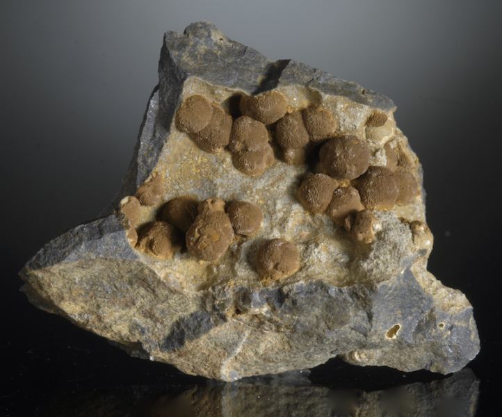 Siderite: Mineral information, data and localities.